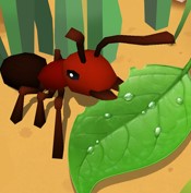 蚂蚁进化