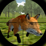 狐狸狩猎狙击